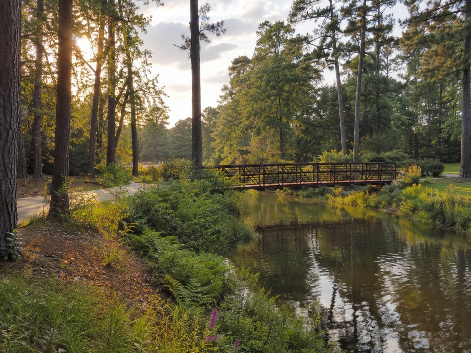 An open greenbelt trail with a footbridge over a quiet creek, room to roam